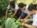 23.10.2018, 3 piger arbejder med planter inde i drivhuset